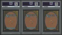 LOT OF (7) 2025 MTG Final Fantasy JP Traveling Chocobo PSA 10 Rainbow Set - Image 4