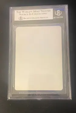 ANIMATE DEAD ARTIST PROOF Anson Maddocks Magic Gathering MTG Revised 3rd Ed - Image 2