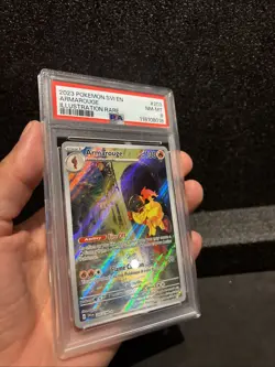 2023 POKEMON SVI EN-SCARLET & VIOLET ILLUSTRATION RARE #203 ARMAROUGE PSA 8 - Image 2