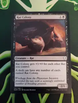 Magic The Gathering Rat Colony Dominaria Common NM 2018 - Image 1