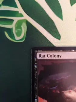 Magic The Gathering Rat Colony Dominaria Common NM 2018 - Image 2