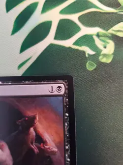 Magic The Gathering Rat Colony Dominaria Common NM 2018 - Image 3