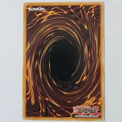 Ronintoadin - TSHD-EN033 - NM - Common - Unlimited - Yugioh - Image 2
