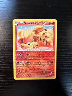 2013 GROWLITHE RC4/RC25 Legendary Treasures Pokemon Radiant Collection HOLO LP - Image 2