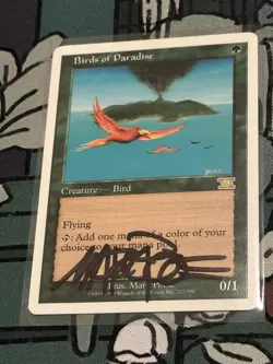 MTG 6th Edition Bird of Paradise Artist Proof Ancestral Recall Sketch - Image 2