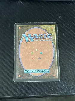 Savannah Lions (Beta) Moderately Played - Magic The Gathering - Image 2