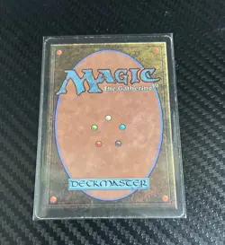 Savannah Lions (Beta) Moderately Played - Magic The Gathering - Image 3