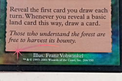 FOIL "Rowen " Magic The Gathering Enchantment Card - Image 2