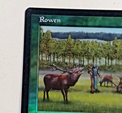 FOIL "Rowen " Magic The Gathering Enchantment Card - Image 3