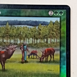 FOIL "Rowen " Magic The Gathering Enchantment Card - Image 4