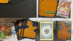 Shining Fates Elite Trainer Box ACCESSORIES + PROMO ONLY Pokemon TCG ETB - Image 1