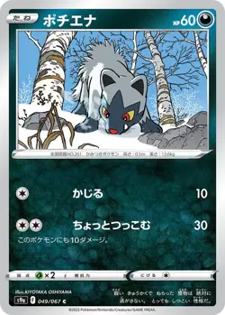 Poochyena 049/067 Battle Region s9a 49 49/67 ASR Astral Radiance Holo Pokemon - Image 1