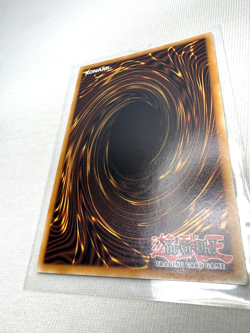 2023 YuGiOh Ash Blossom & Joyous Spring RA01-EN008 Quarter Century 1st Ed. NM - Image 5