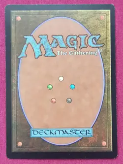 Magic The Gathering 2014 CORE SET M14 BRAVE THE ELEMENTS white card MTG - Image 2