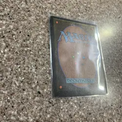 MTG - Legends - Barktooth Warbeard - Magic the Gathering - Moderate Play - Image 5