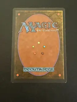 Magic The Gathering - MTG Snowblind - Ice Age LP - Image 2