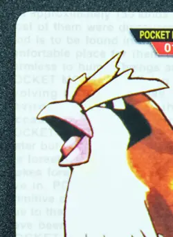 Pidgey Carddass Bandai 016 1996 Nintendo Very Rare Pokemon Card Japanese F/S - Image 2
