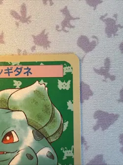 Bulbasaur No. 001 Topsun Blue back Japanese Pokemon Card Nintendo From Japan - Image 4