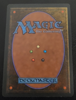 MTG Adarkar Wastes (Lightly Played) Ice Age 1995 - Rare - (LP) x4 - Image 2