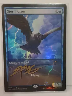 MTG 1 X FOIL STORM CROW SHADOW SIGNED BY ARTIST - Image 1