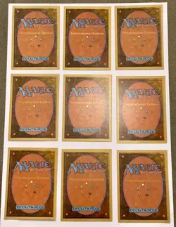 21 x MTG International Edition Cards inc Birds of Paradise & Demonic Tutor RARE! - Image 3