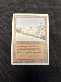 Taiga Revised Edition Mtg NM -reserved list- - Image 1