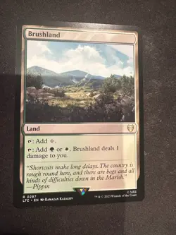 Brushland - 0297 LTC MTG - Rare N/M - Food & Fellowship - Image 1