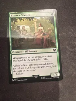 Essence Warden - 0242 LTC MTG - Common N/M - Food & Fellowship - Image 1