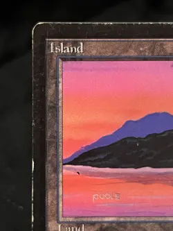 Magic the Gathering Beta Edition Island (C) ~MP ~ MTG - Image 3