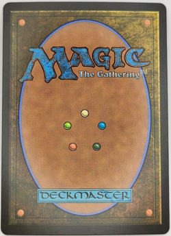 MTG Foundations Llanowar Elves Showcase Fracture Foil Japanese M 0439 FDN JP - Image 2