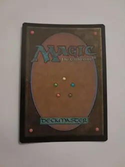 Walk In Closet Borderless Showcase FOIL NM/M Duskmourn MTG MAGIC THE GATHERING - Image 2