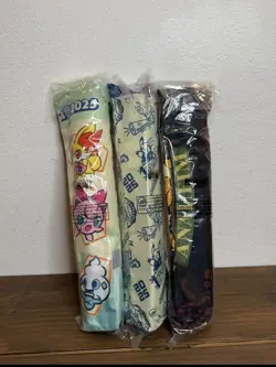 Pokemon Worlds 2025 Anaheim Set Of 3 Playmat & Playmat Bag In Hand - Image 2