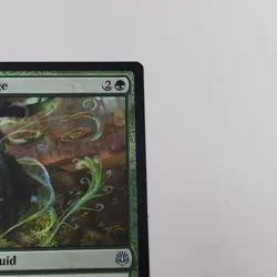 Evolution Sage War of the Spark 159 - NM TCG MTG - Image 3