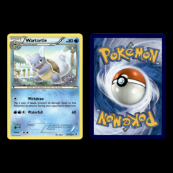 12x Blastoise Wartortle Squirtle Lot Pokemon Cards Collection Set Deck Building - Image 4