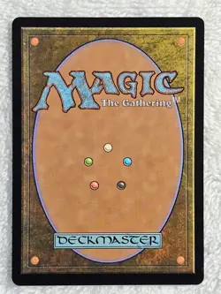 MTG Swashbuckler's Whip FOIL - The Lost Caverns of Ixalan #263 Magic Card U NM - Image 3