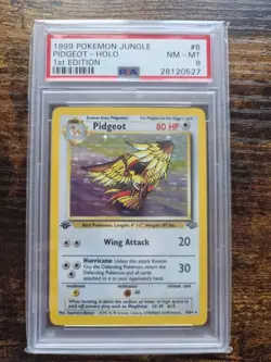 1999 Pokemon Jungle 1st Edition Pidgeot #8 English Holo Rare 8/64 - PSA 8 NM-MT - Image 1