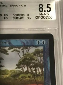 1993 MTG Beta - PHANTASMAL TERRAIN - Graded BGS 8.5 NM-MT+ Magic 30th🎉 - Image 4