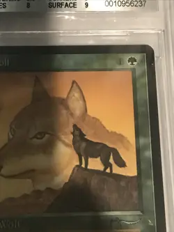 1993 MTG Arabian Nights - WYLULI WOLF (Dark) - Graded BGS 8.5 NM-MT+ - Image 3