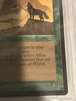 1993 MTG Arabian Nights - WYLULI WOLF (Dark) - Graded BGS 8.5 NM-MT+ - Image 4