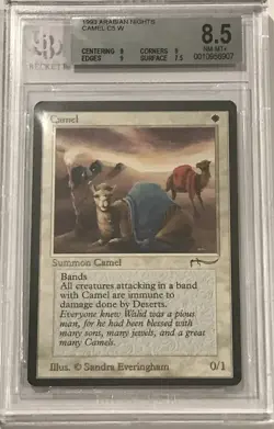 1993 MTG Arabian Nights - CAMEL - Graded BGS 8.5 NM-MT+ - Image 1