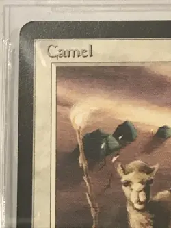 1993 MTG Arabian Nights - CAMEL - Graded BGS 8.5 NM-MT+ - Image 3