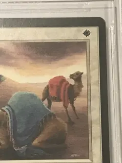 1993 MTG Arabian Nights - CAMEL - Graded BGS 8.5 NM-MT+ - Image 4