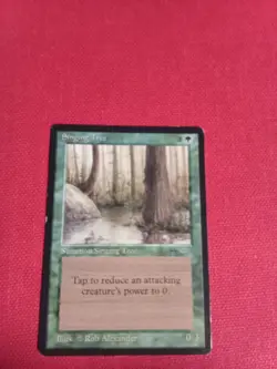 Magic the Gathering Singing Tree Arabian Nights Never Played NM h - Image 1