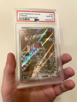 2025 POKEMON JTG EN-JOURNEY TOGETHER ILLUSTRATION RARE #165 SWINUB PSA 10 - Image 4