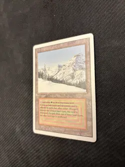 Taiga Revised Edition Mtg MP -reserved List- - Image 2