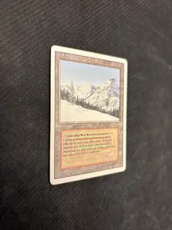 Taiga Revised Edition Mtg MP -reserved List- - Image 3