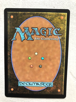 Mtg Carte Magic Final Fantasy Travelling Chocobo Borderless JP NM - Image 2