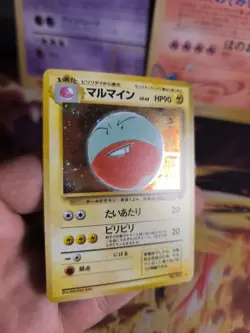 Pokemon Karte Card Electrode Lektrobal Jungle Dschungel Holo Wotc japanese NM- - Image 3