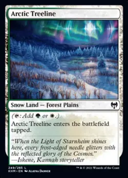 Arctic Treeline - Light Play MTG Kaldheim - Image 1