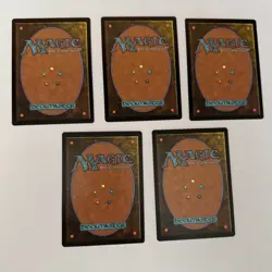 Plains x5 (FOIL) Secret Lair: Raining Cats and Dogs - NM/M - MTG - Image 2